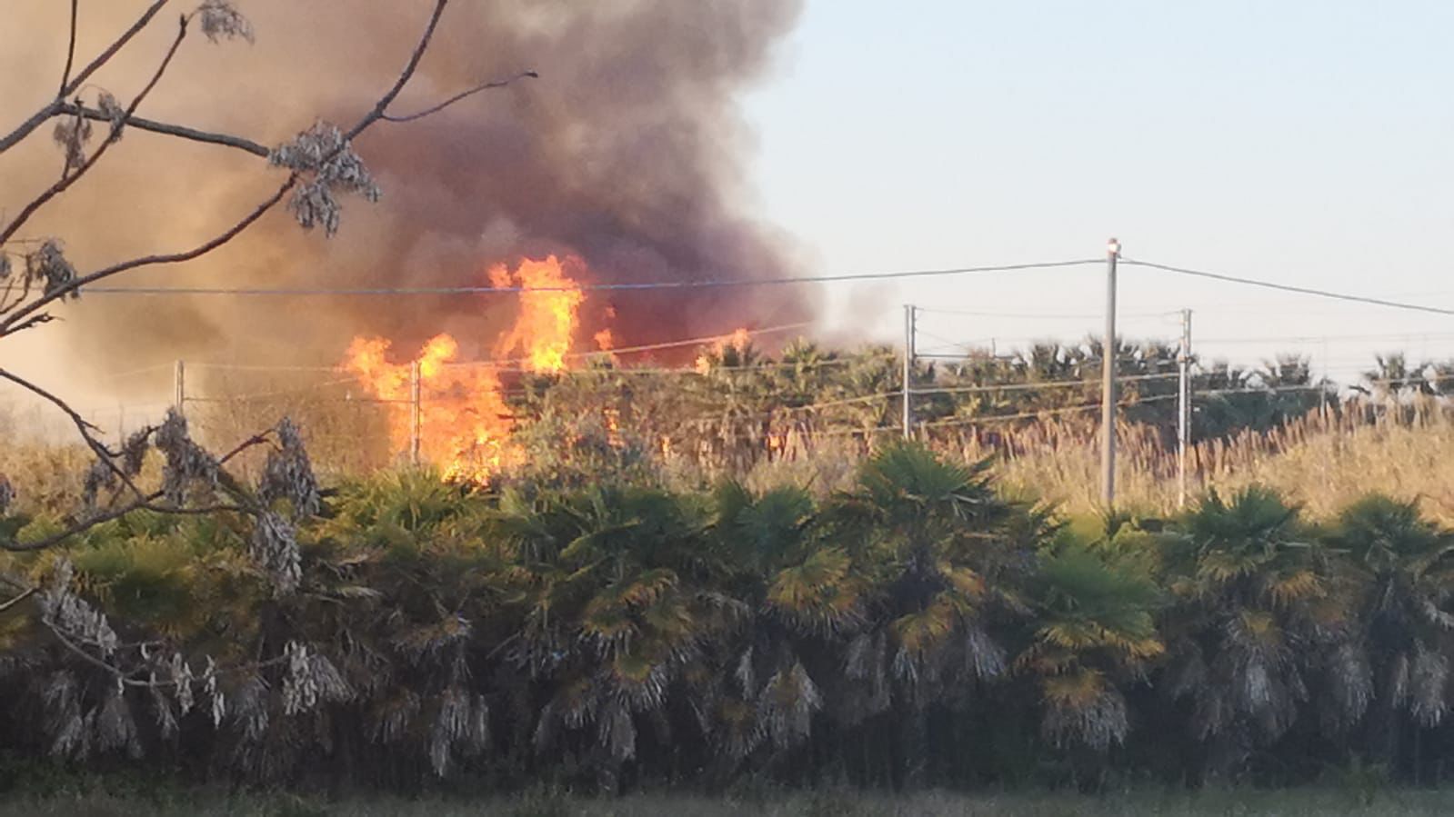 titolo immagine Immagine di Divieti su aree a rischio di incendio boschivo