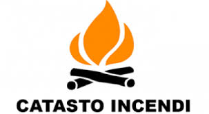 titolo immagine Immagine di Aggiornamento del catasto delle aree percorse dal fuoco (catasto incendi)