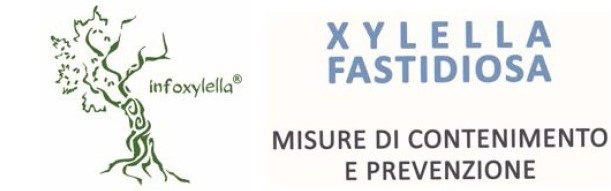 Immagine di Xylella