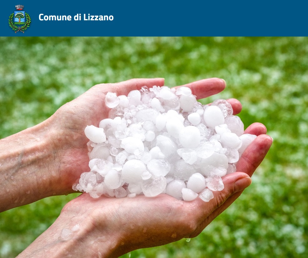 titolo immagine Immagine di Danni calamità naturale 08 giugno 2022 - aziende agricole