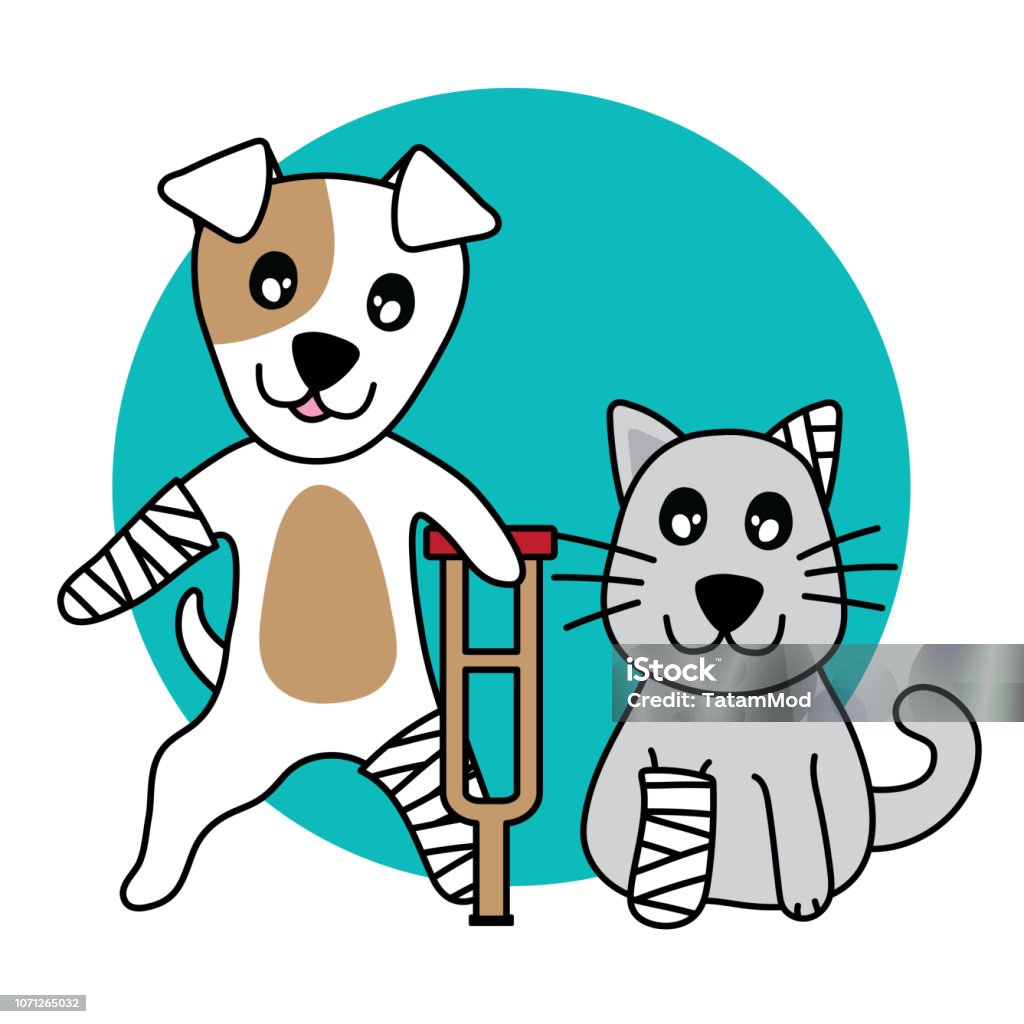 titolo immagine Immagine di Avviso pubblico esplorativo di manifestazione di interesse per l'affidamento del servizio di trasporto, ricovero, mantenimento e cura di cani randagi e gatti liberi, non di proprietà, rinvenuti feriti e/o malati sul territorio del comune di Lizzano (a