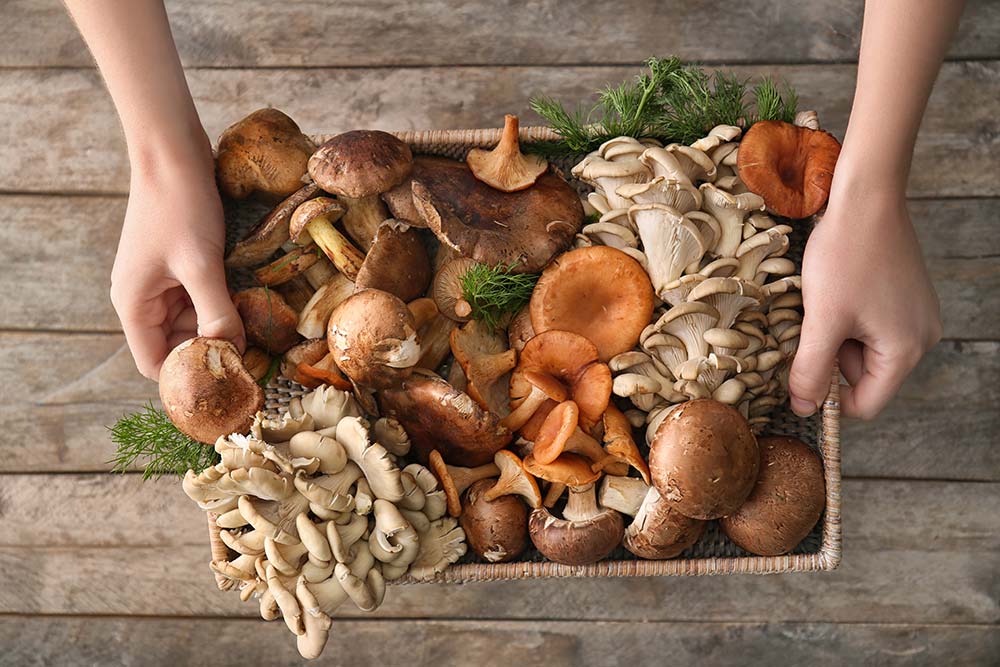 titolo immagine Immagine di Rilascio permesso raccolta funghi ipogei spontanei