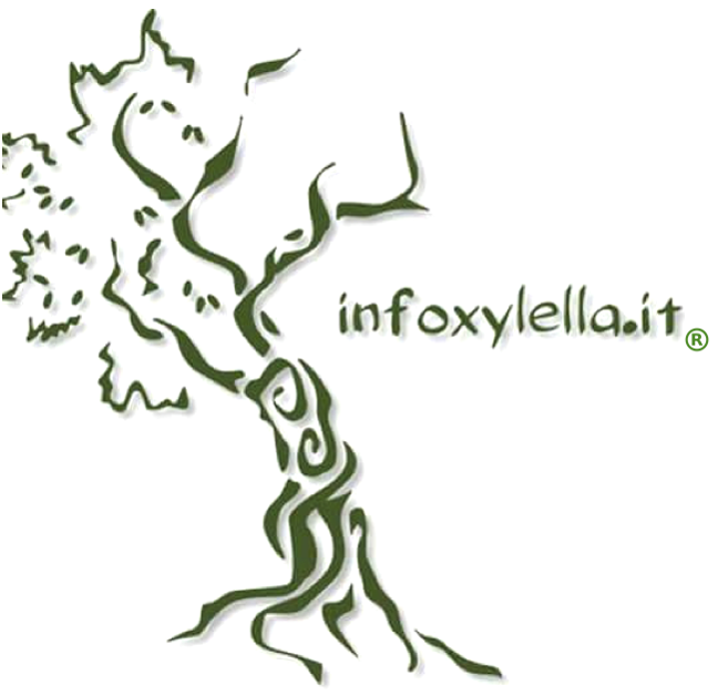 titolo immagine Immagine di Infoxylella