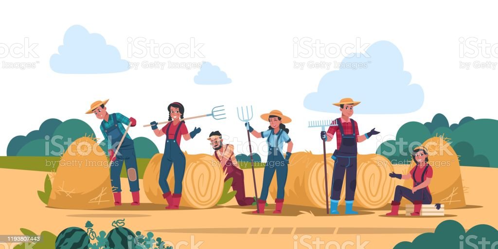 titolo immagine Immagine di Attività lavorativa nel settore agricolo in condizioni di esposizione prolungata al sole - ordinanza contingibile ed urgente per motivi di igiene e sanità pubblica.